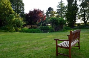 Garden view                     